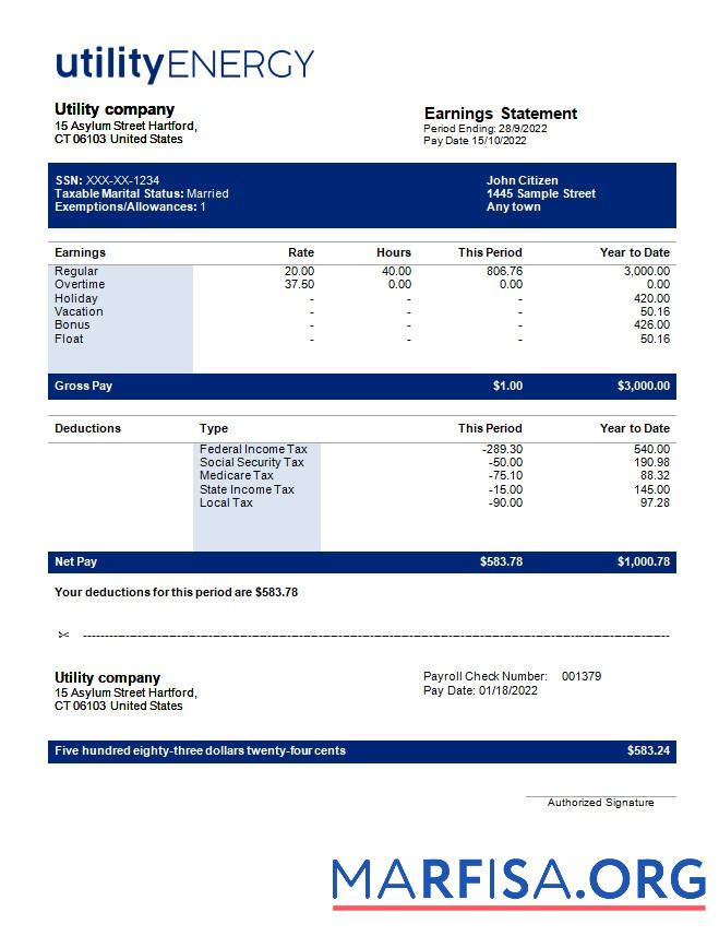 Realistic Utility company payslip. example